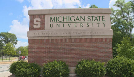 MSU Sign